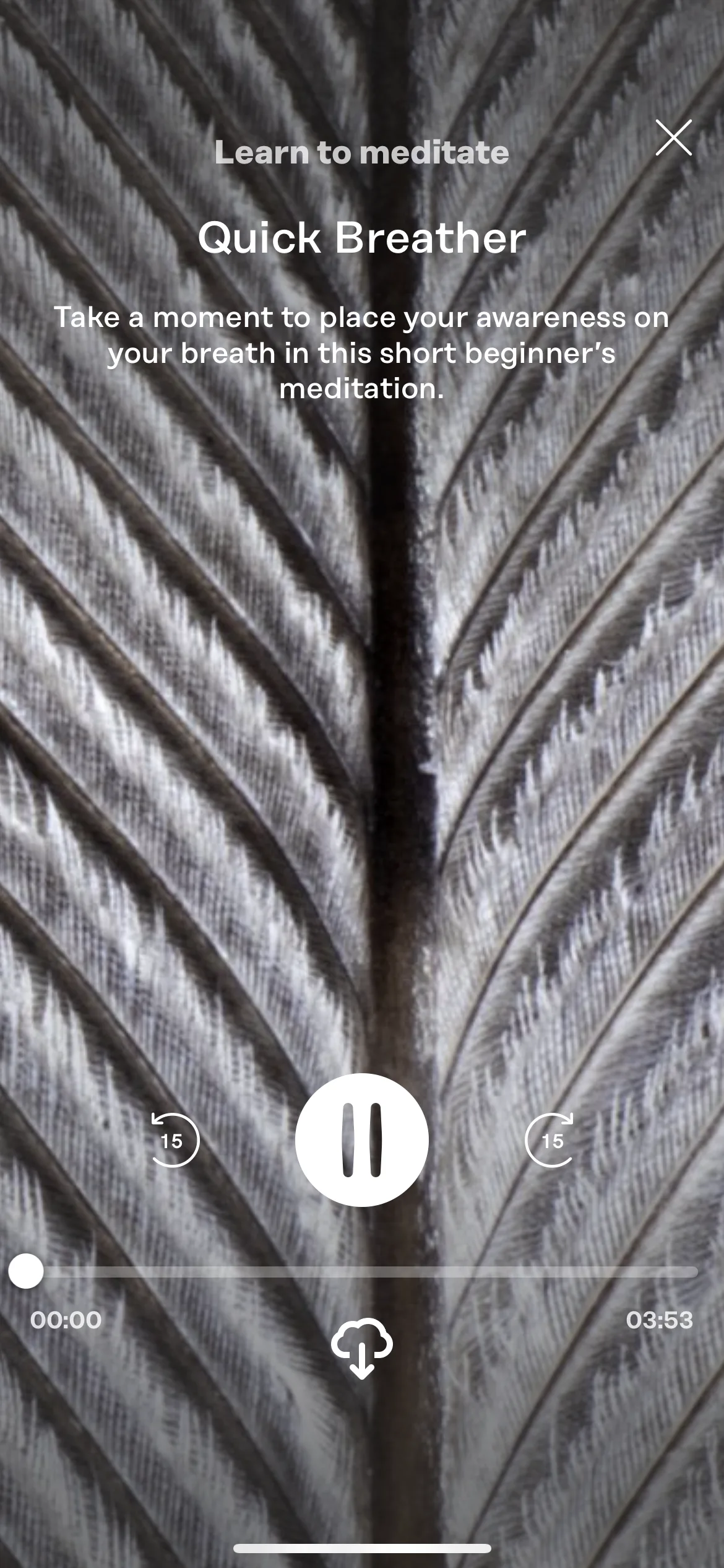 Test Image 2