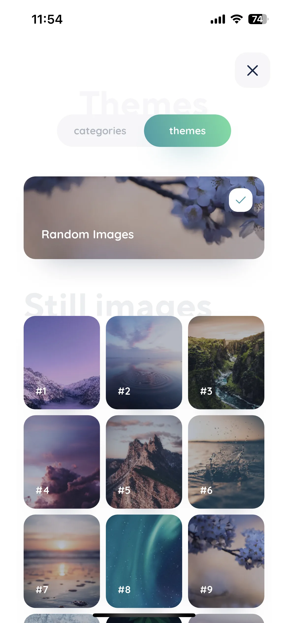 Test Image 5