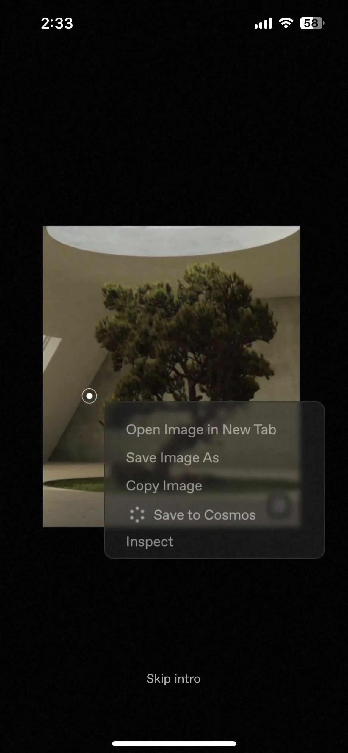 Test Image 11