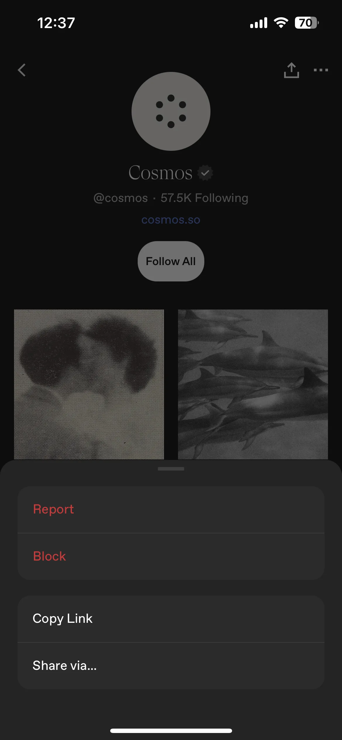 Test Image 3