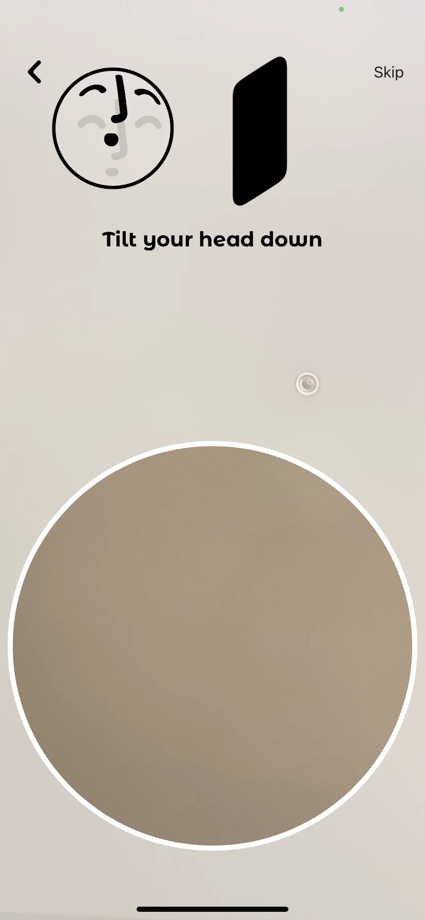 Test Image 11