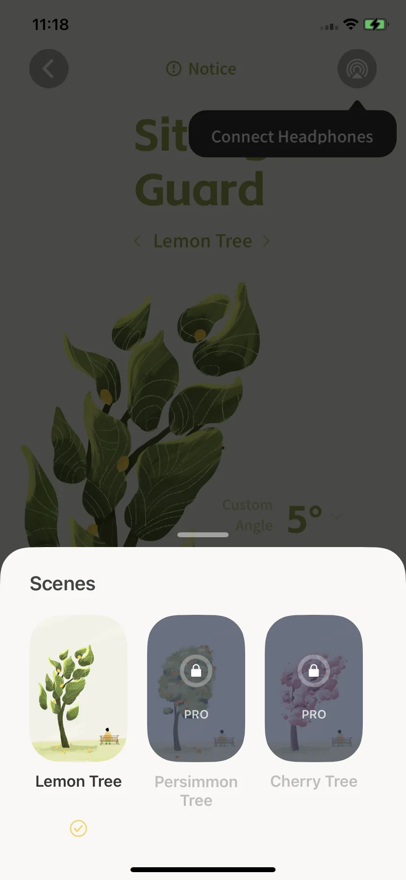 Test Image 8