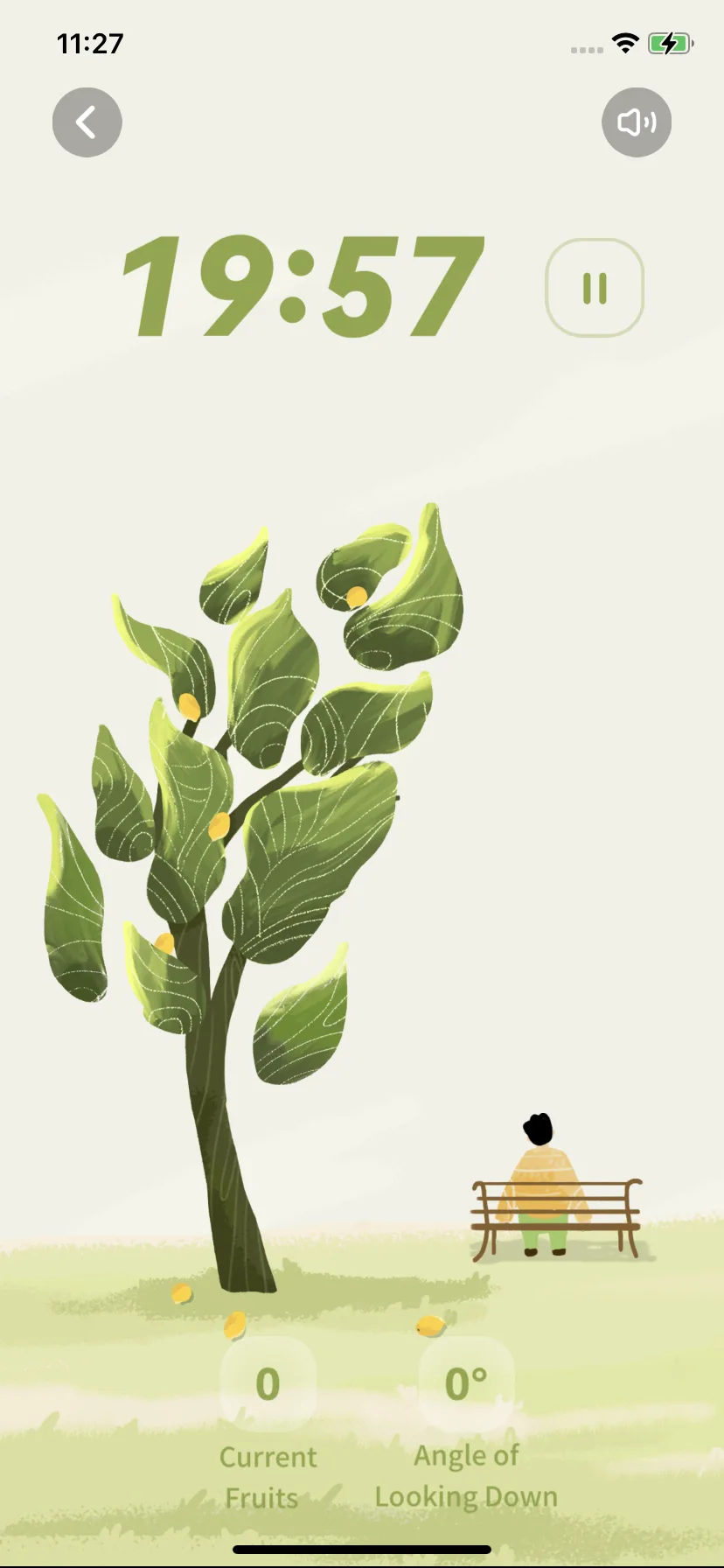 Test Image 17