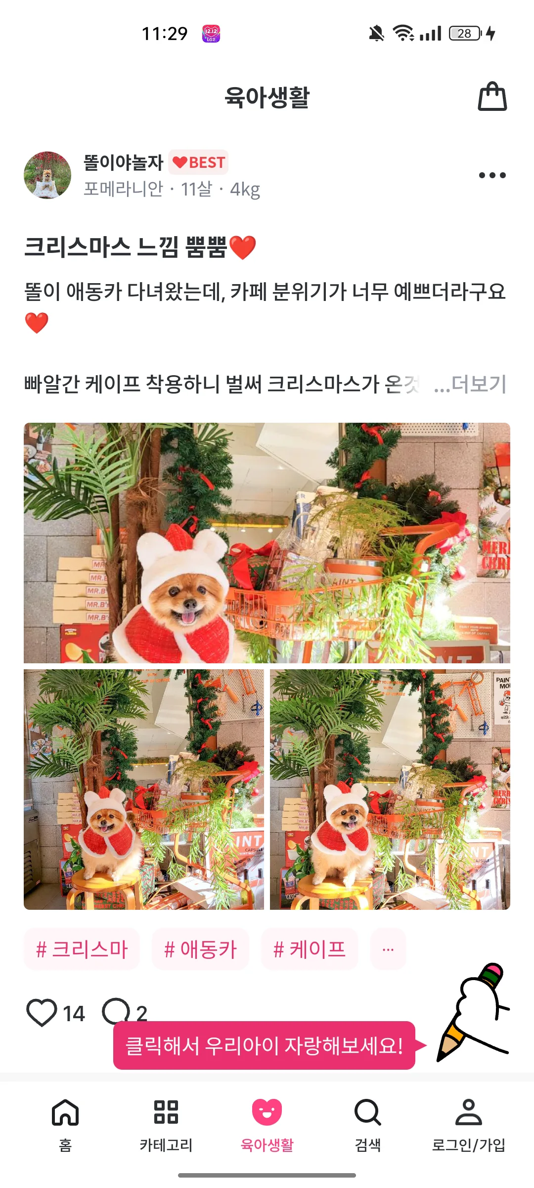 Test Image 3