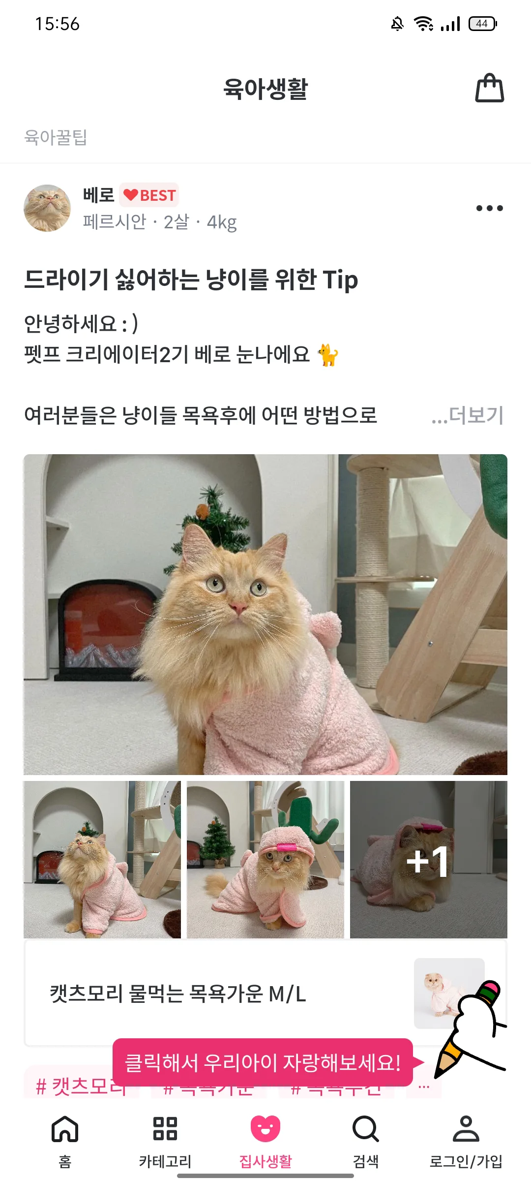 Test Image 6
