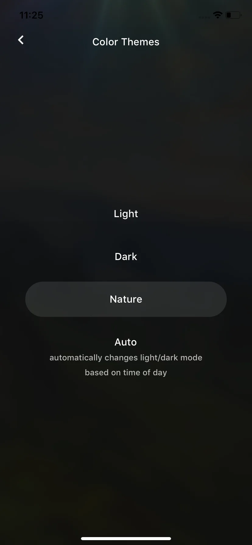 Test Image 21