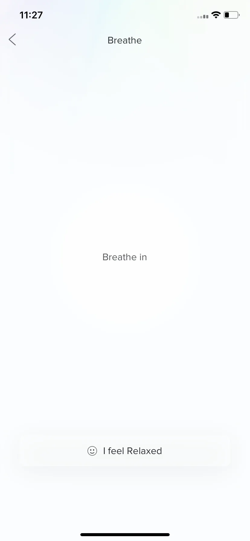 Test Image 27