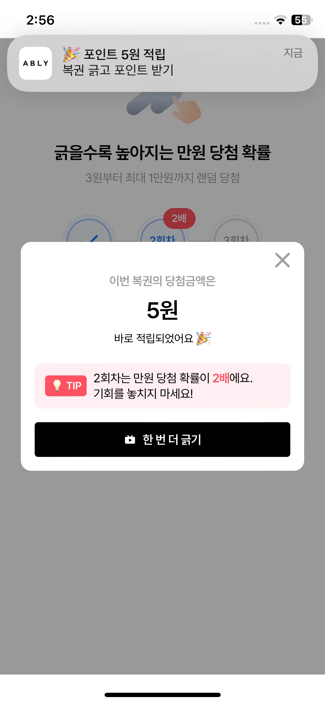Test Image 10