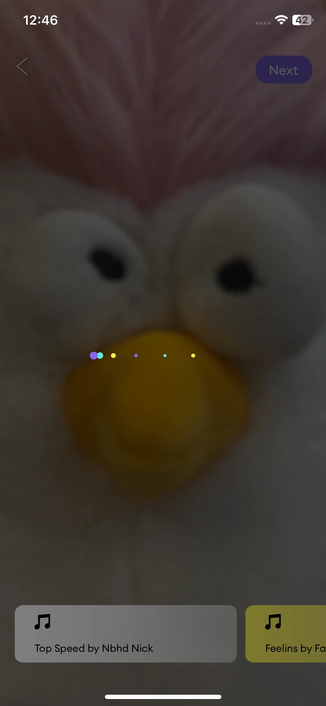 Test Image 8