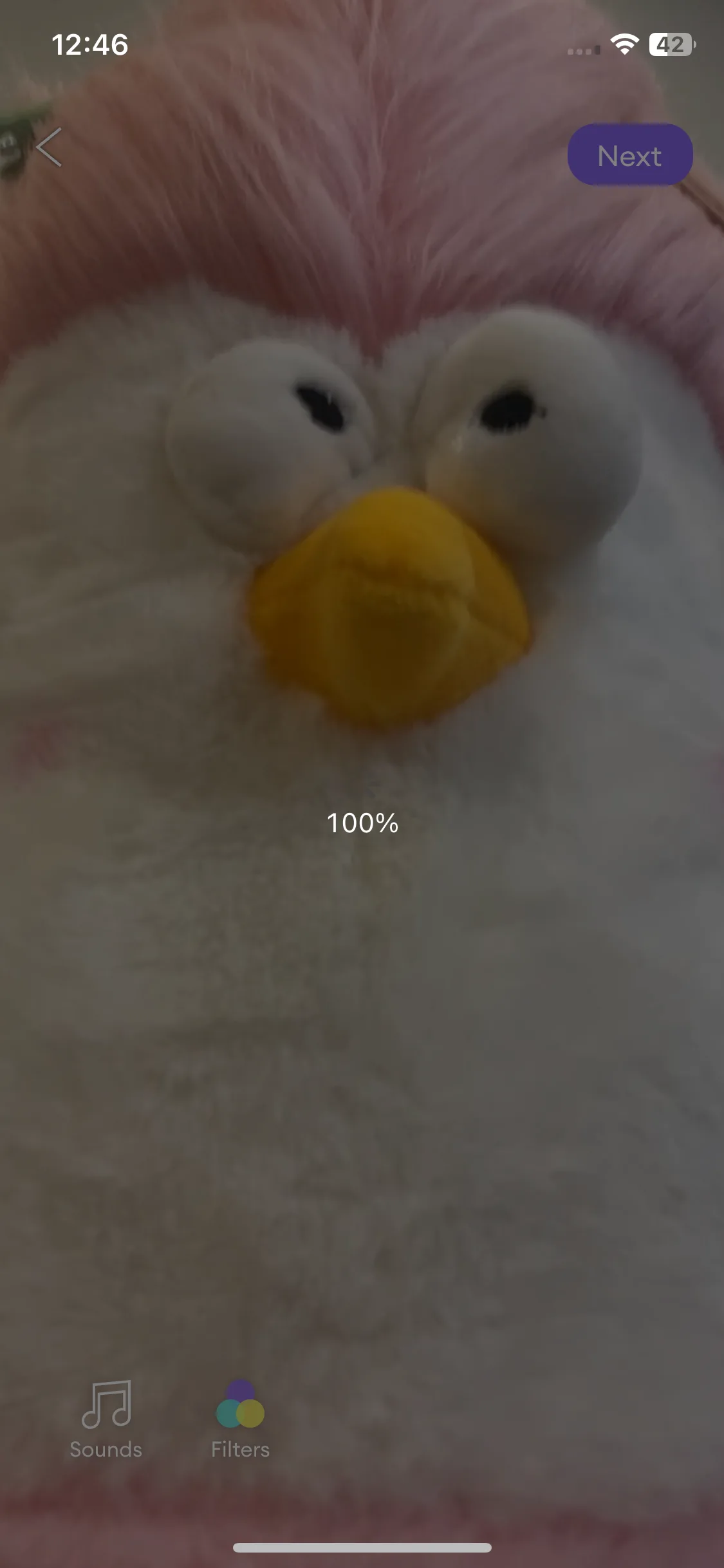 Test Image 9