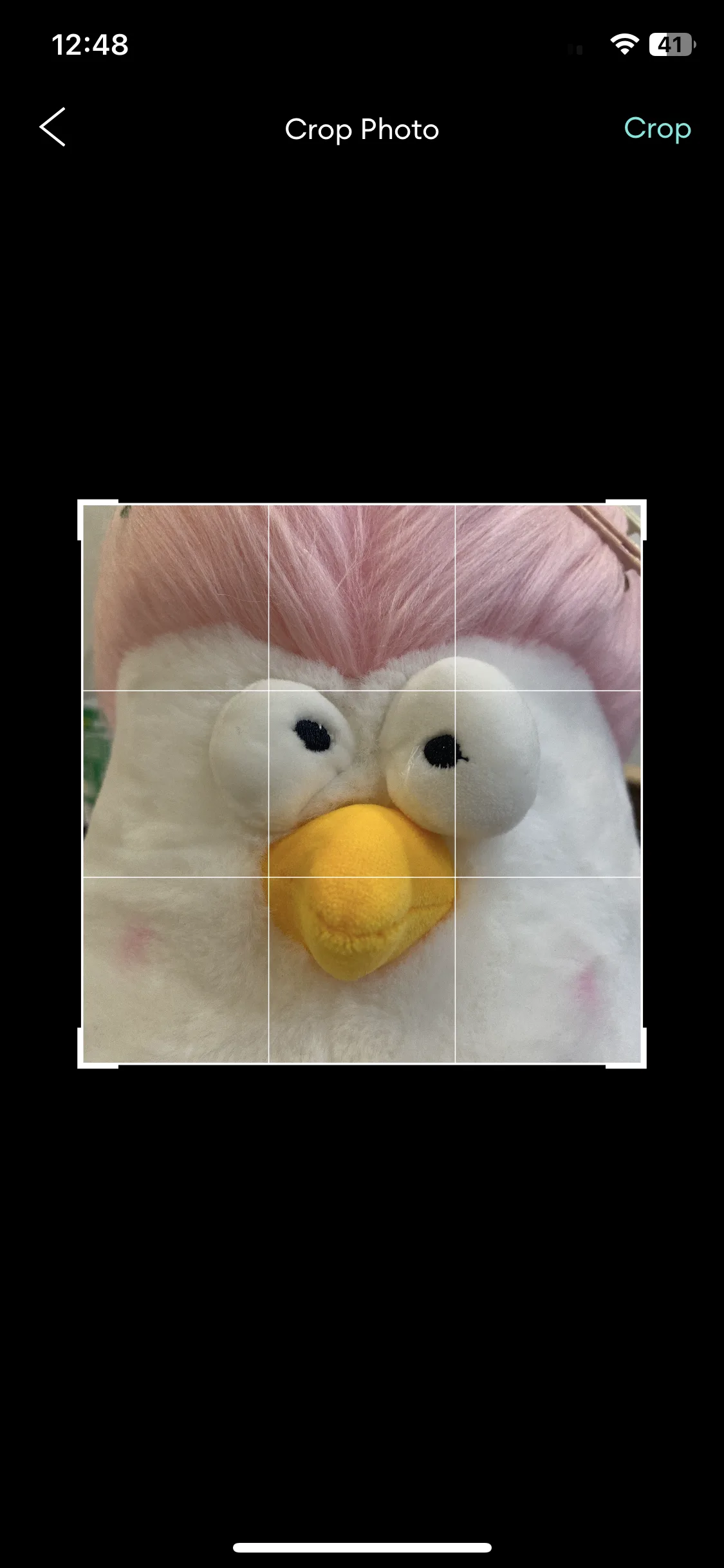 Test Image 5