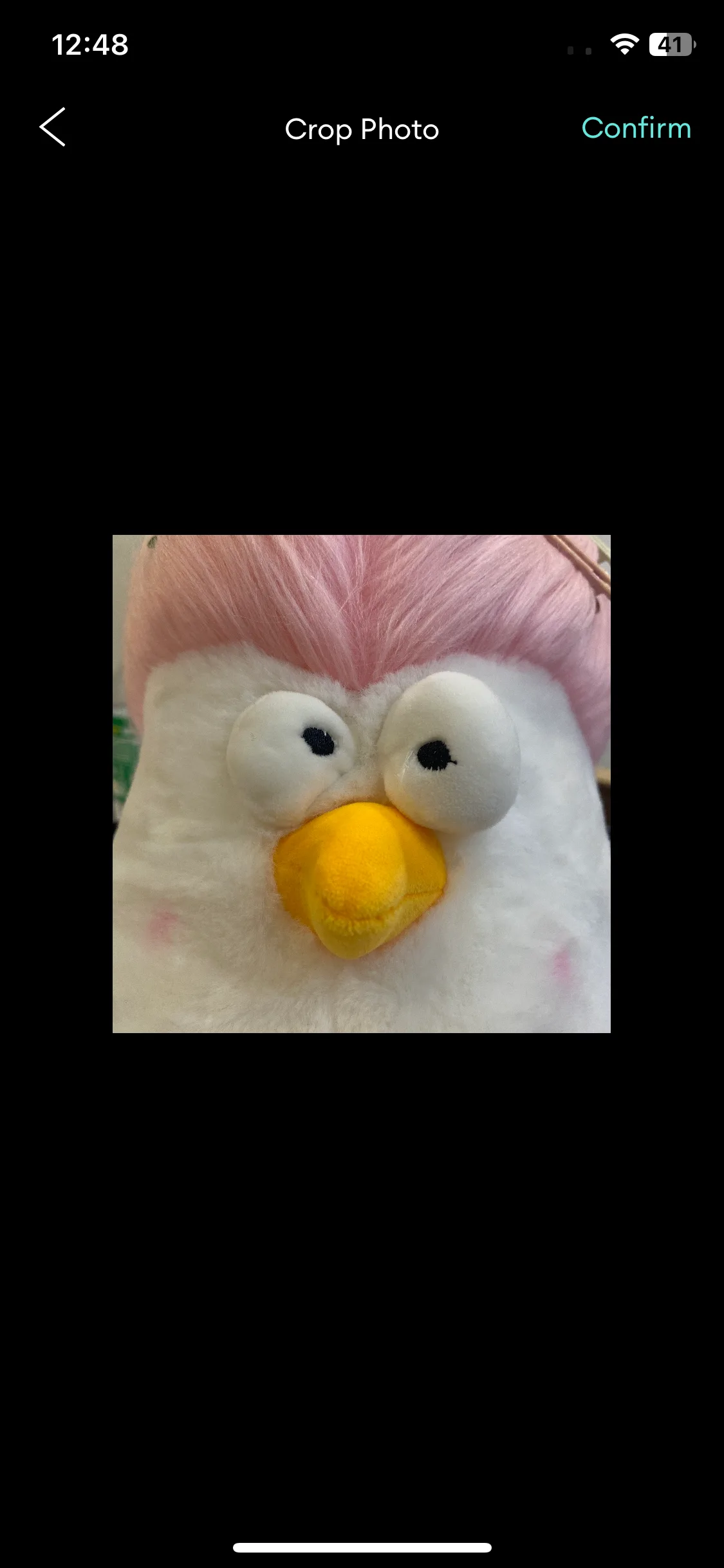Test Image 6
