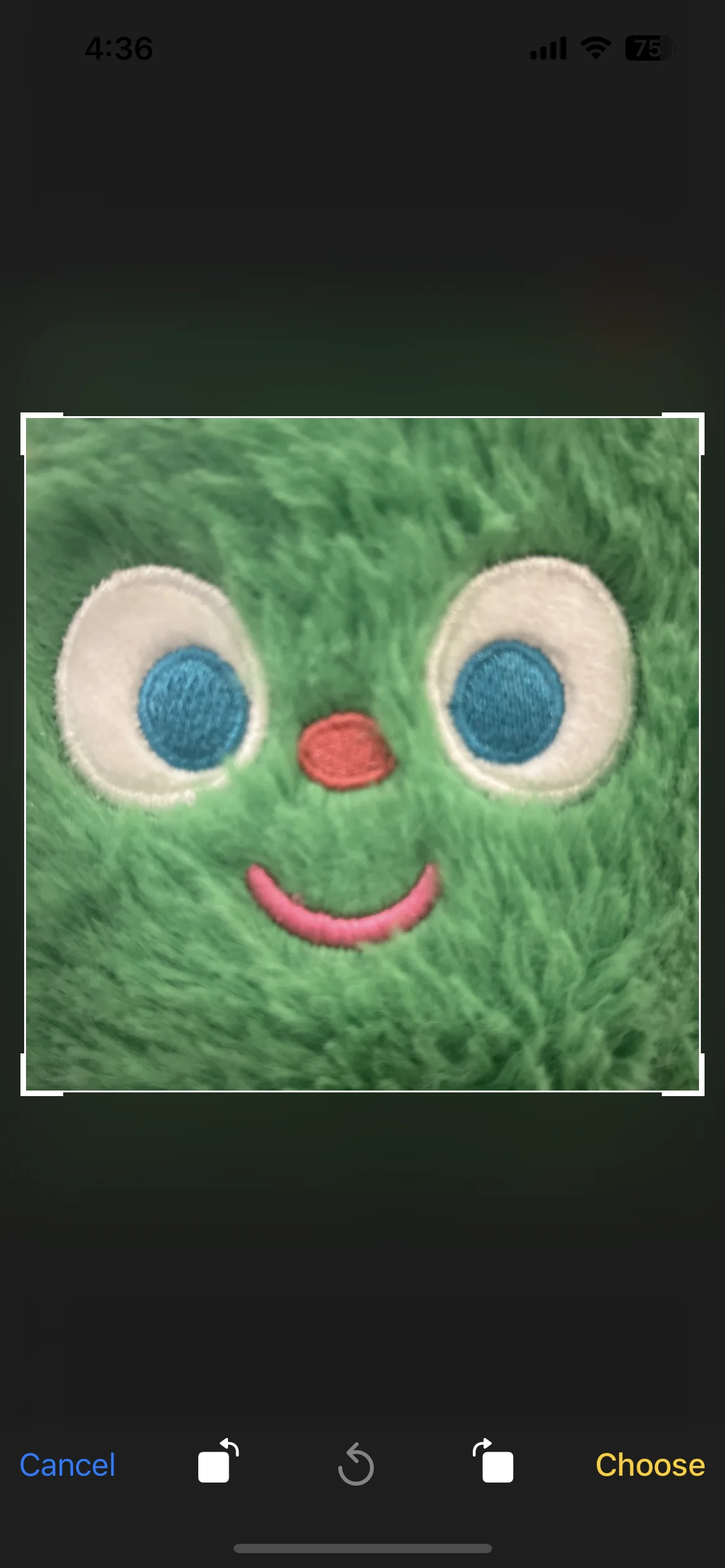Test Image 5
