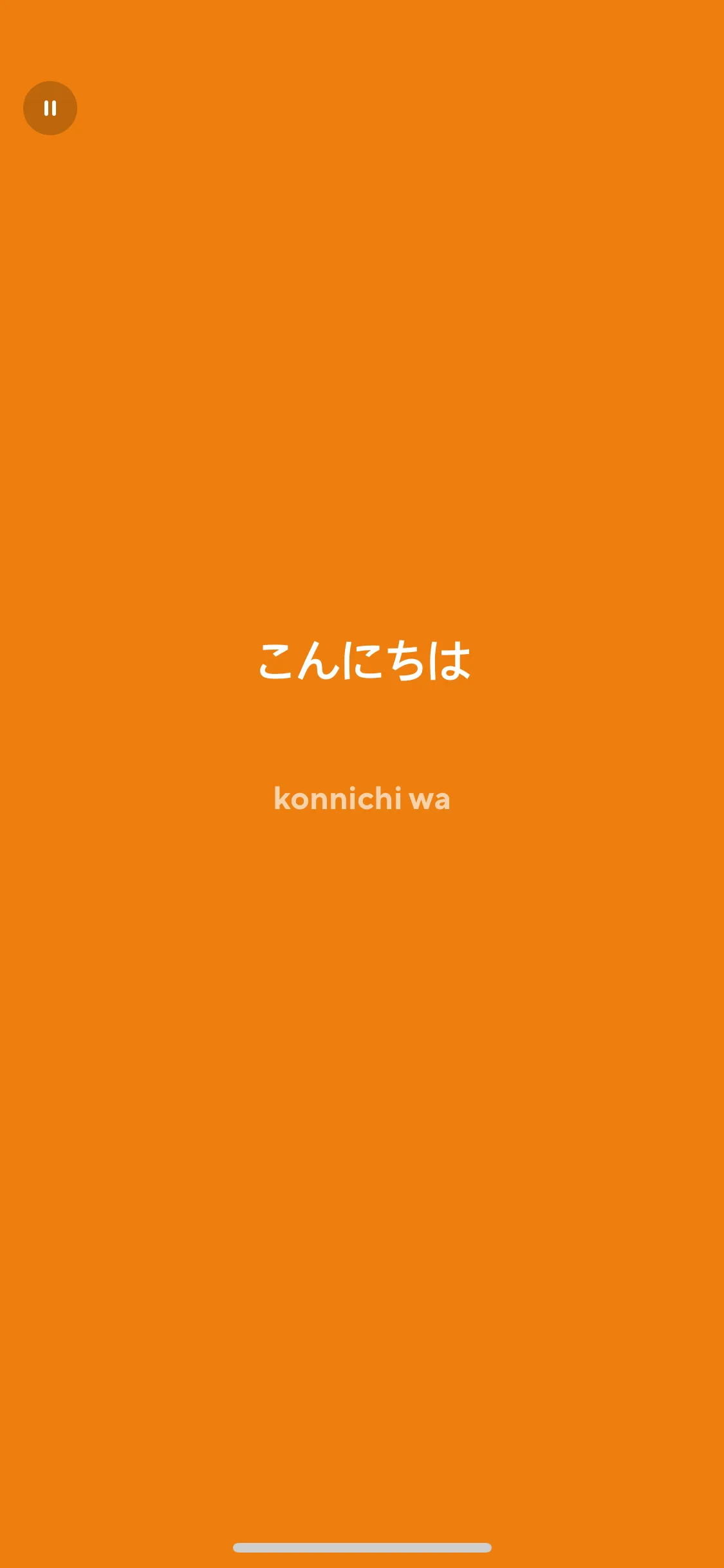 Test Image 13