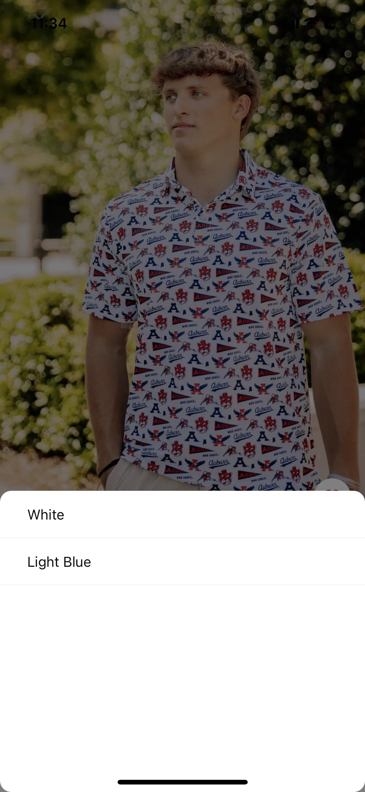 Test Image 6