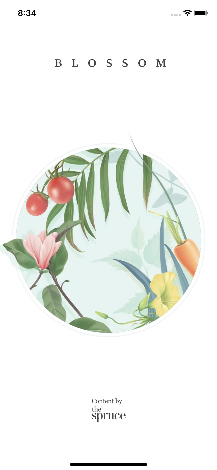 Test Image 1