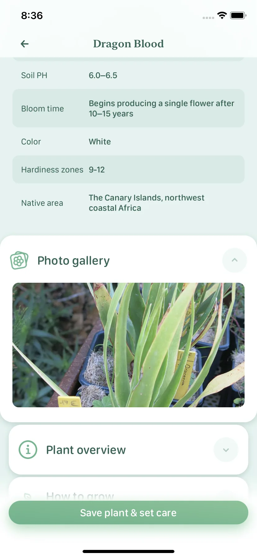 Test Image 8