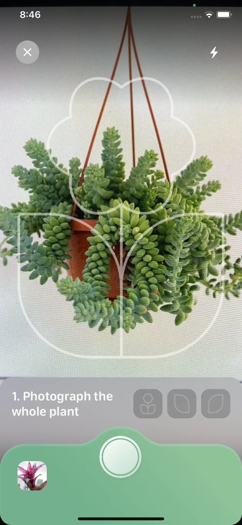 Test Image 2