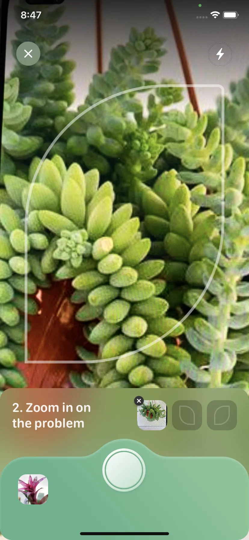 Test Image 3