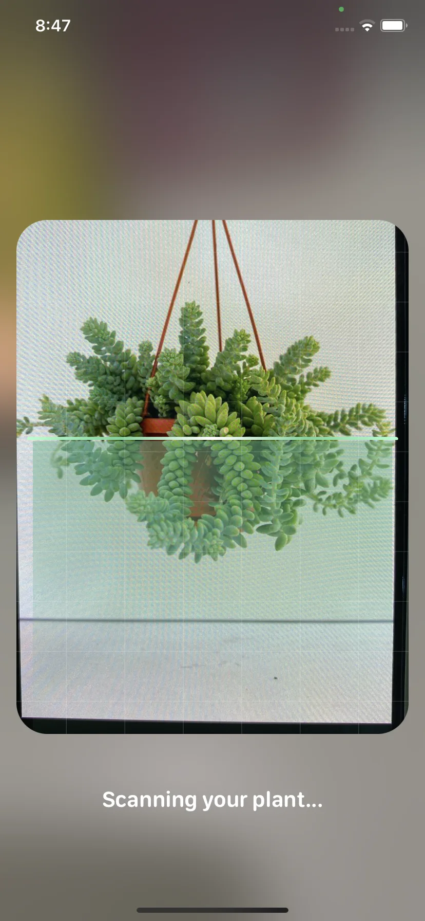 Test Image 4