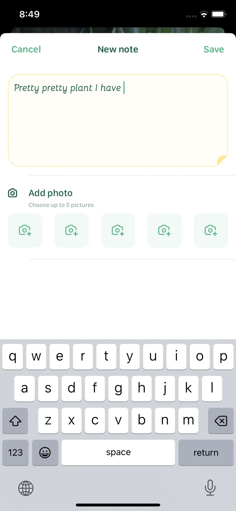 Test Image 3