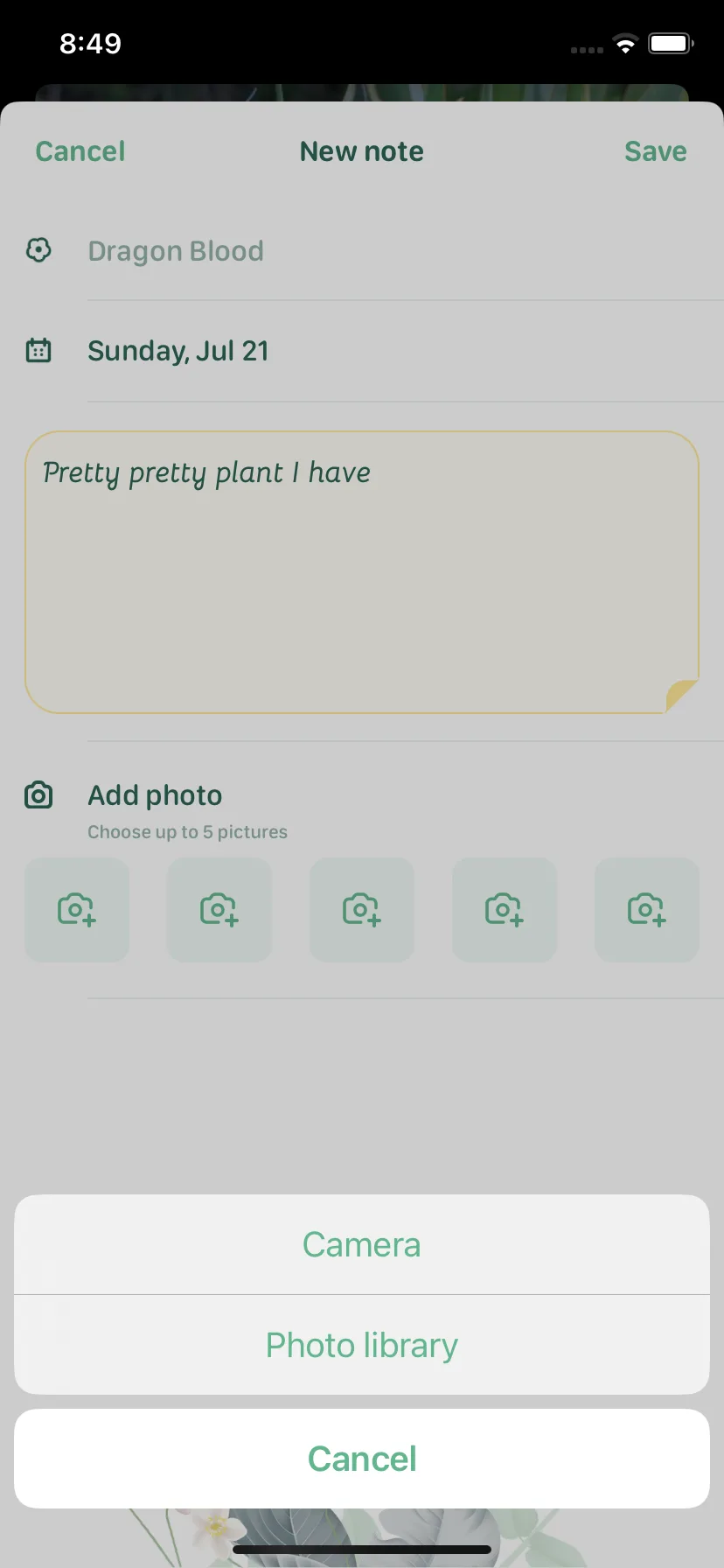 Test Image 4