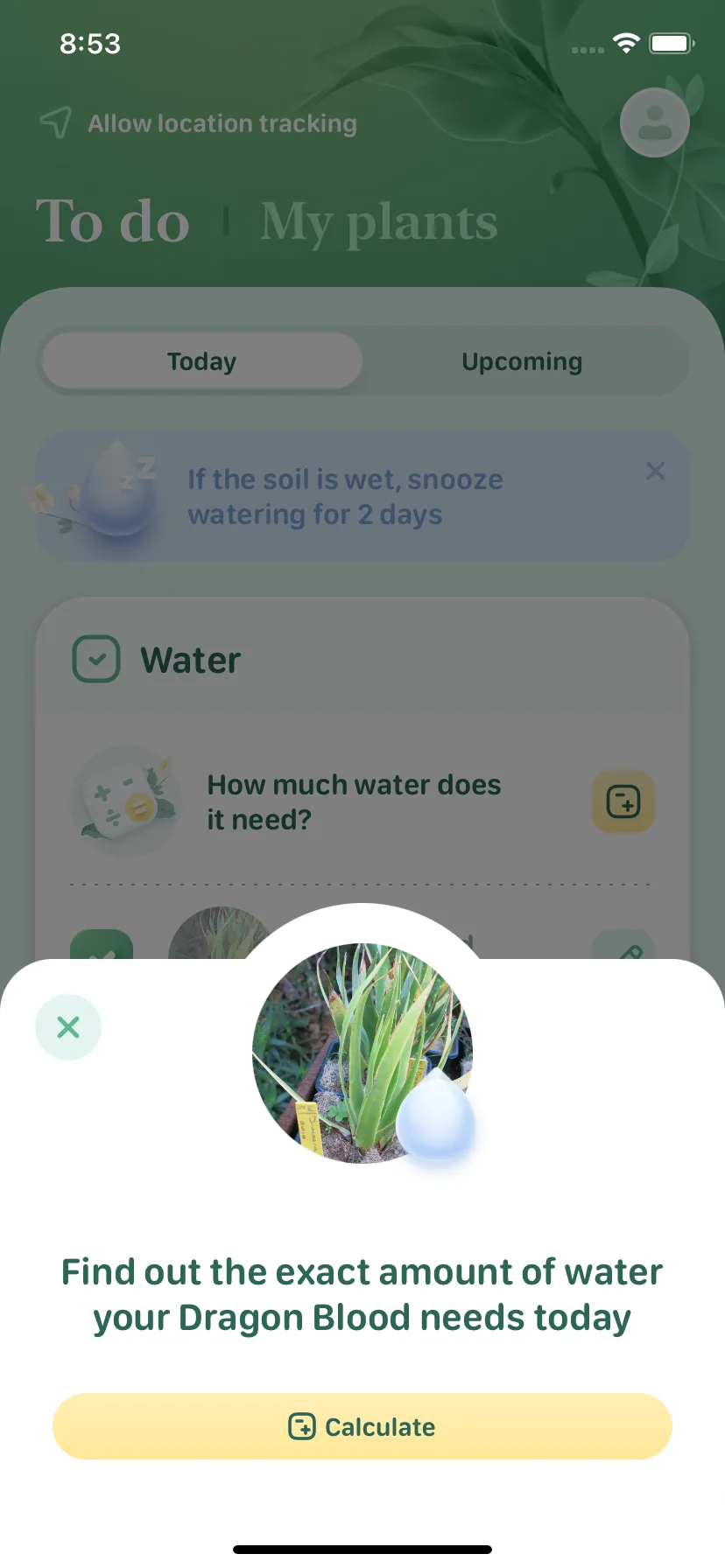 Test Image 1