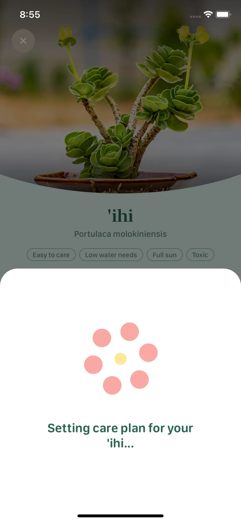 Test Image 9