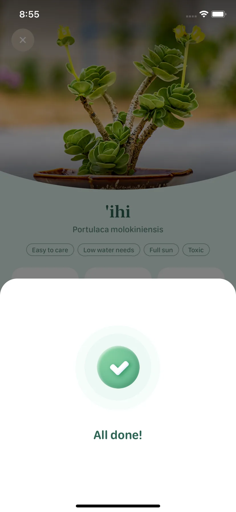 Test Image 10