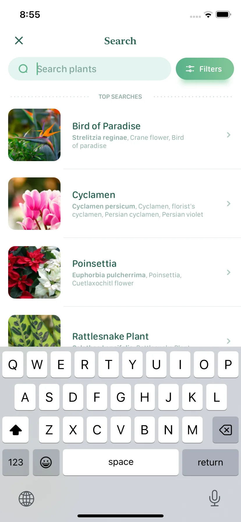 Test Image 1