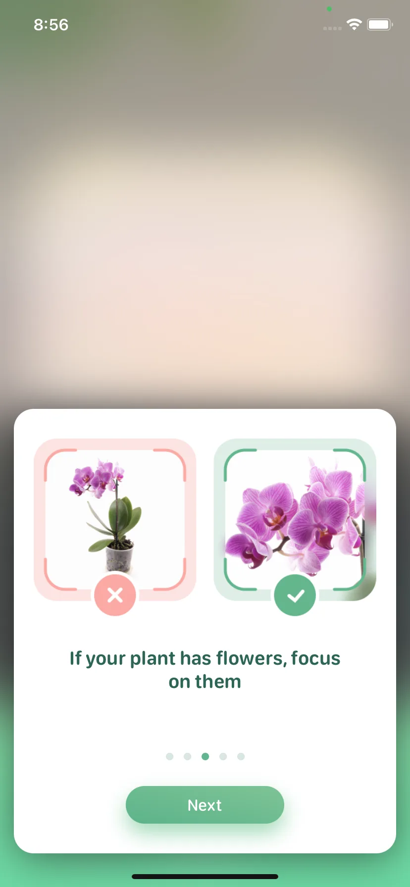 Test Image 9