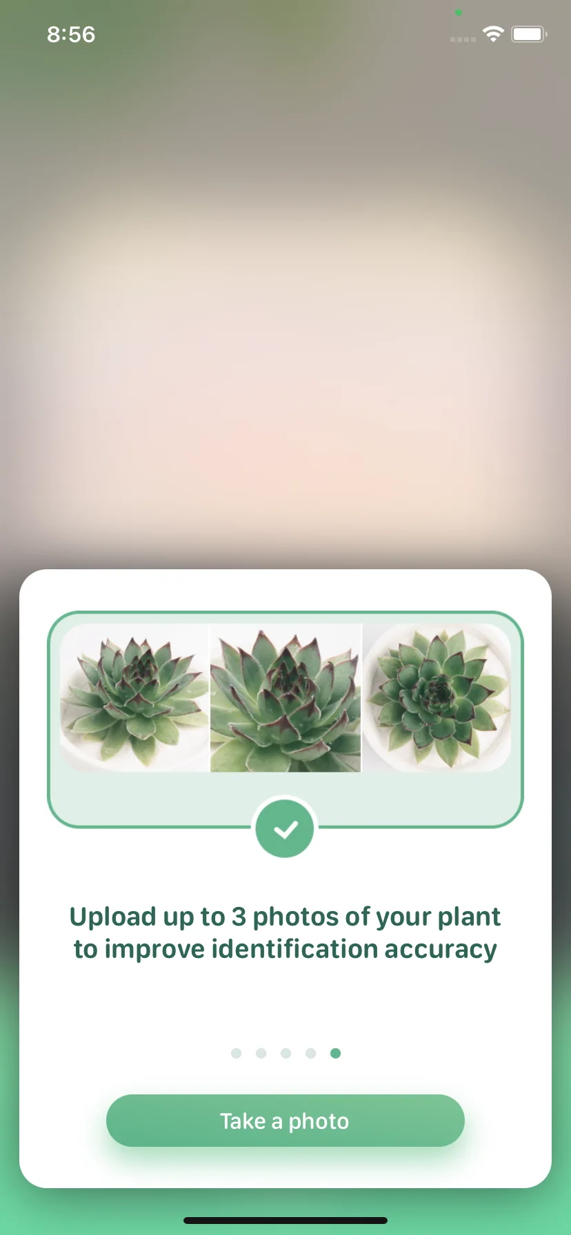 Test Image 11