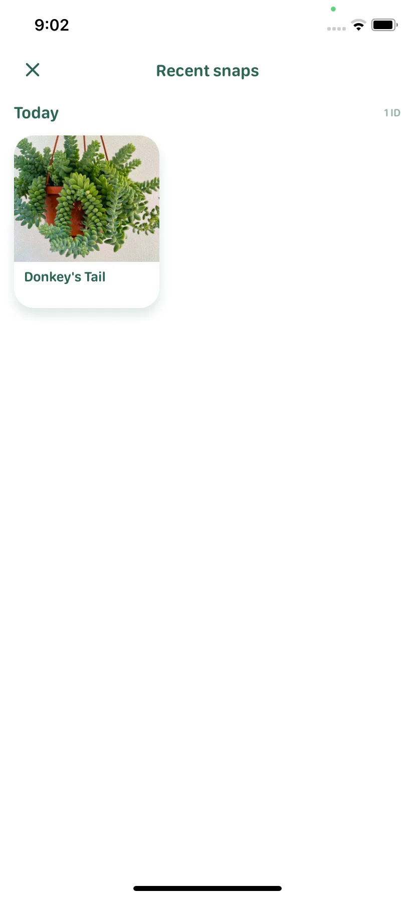 Test Image 21