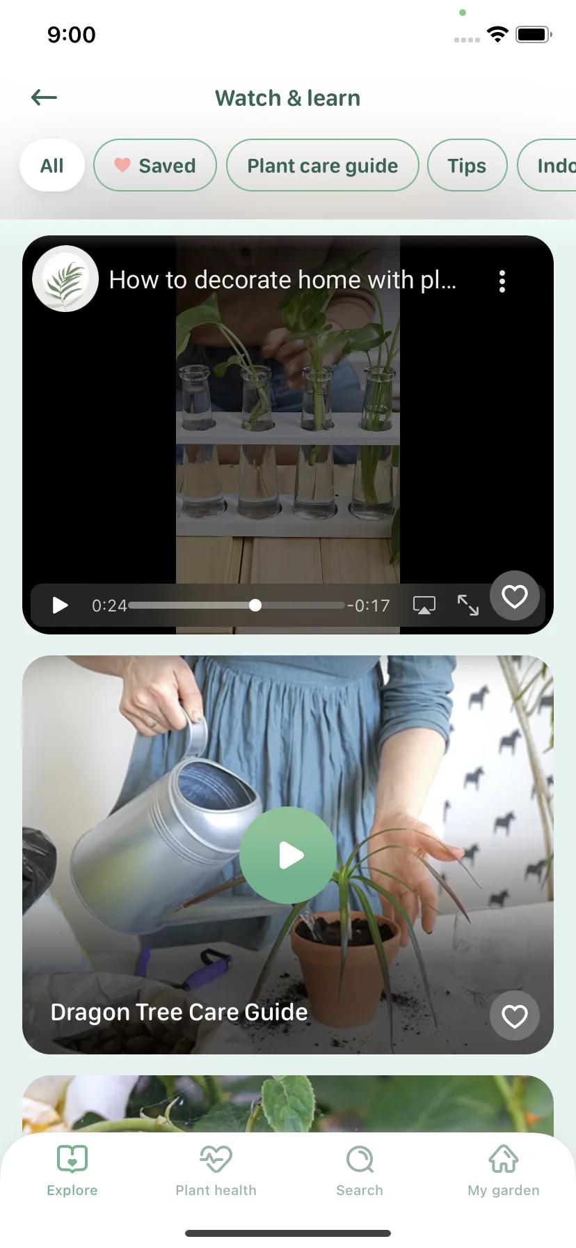 Test Image 5