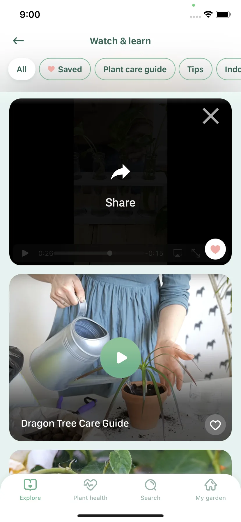 Test Image 6