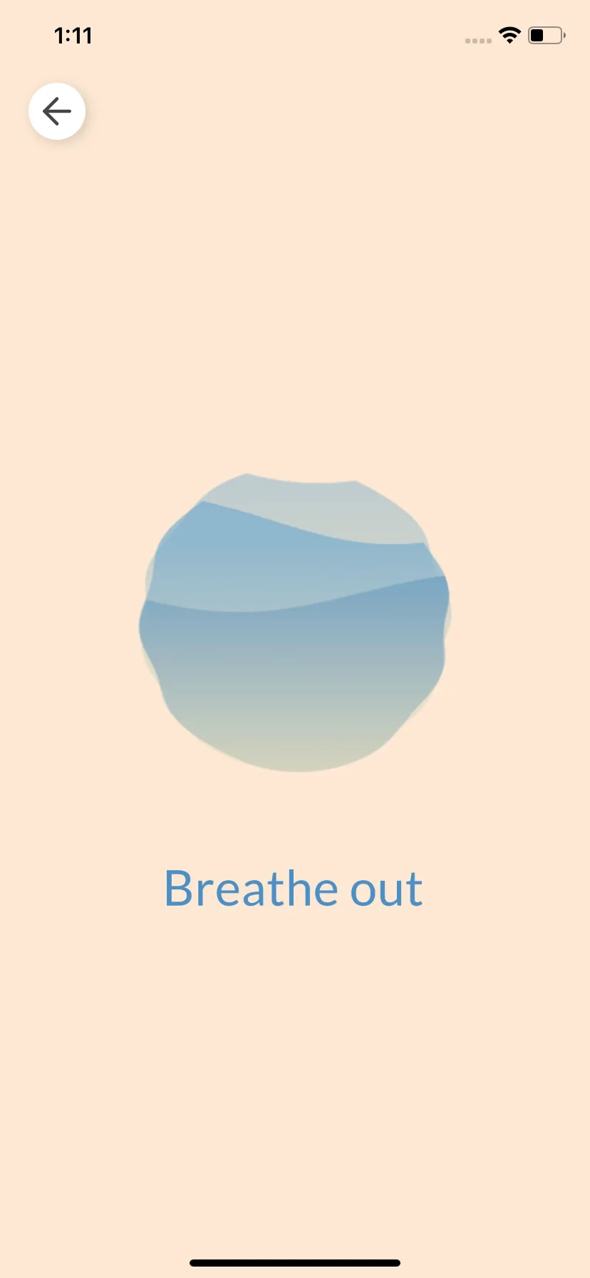Test Image 6