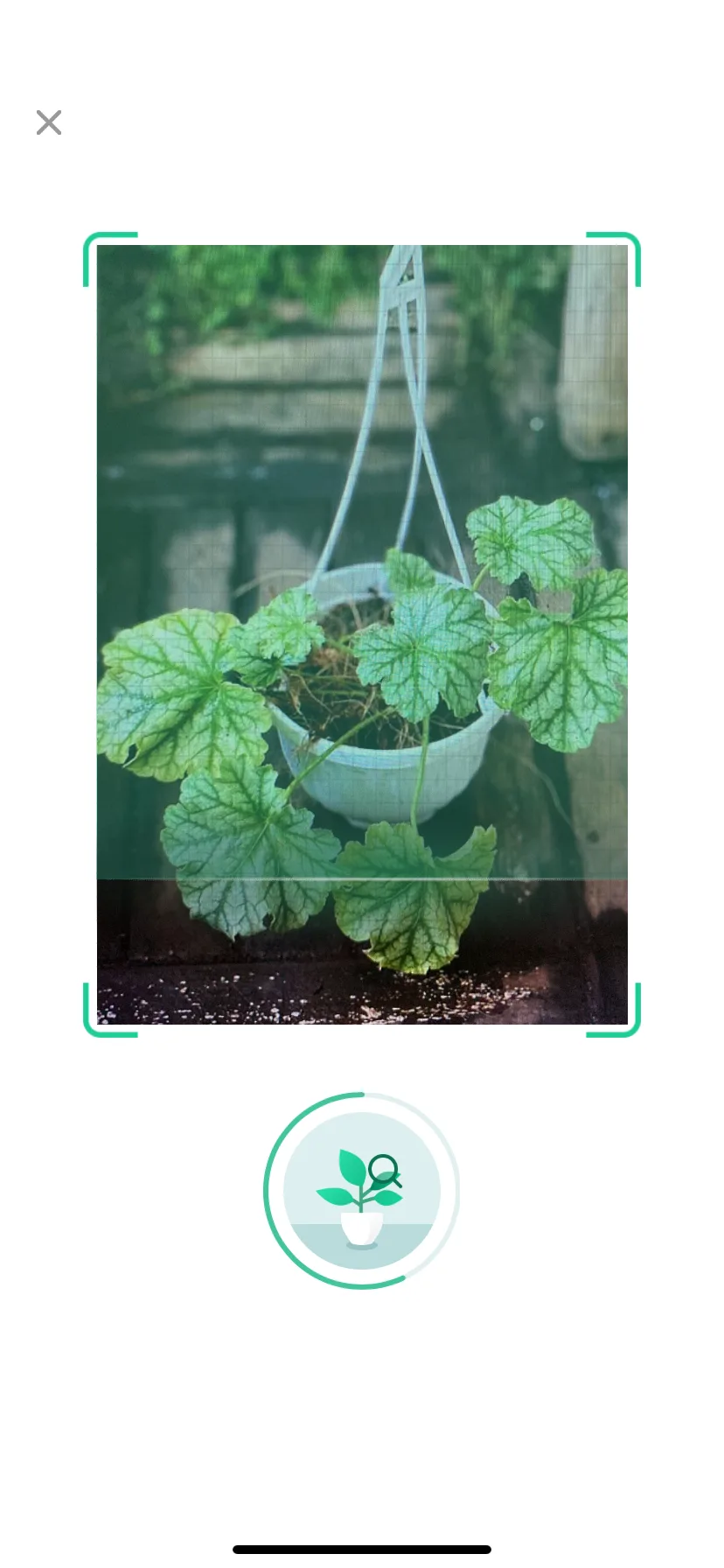 Test Image 6