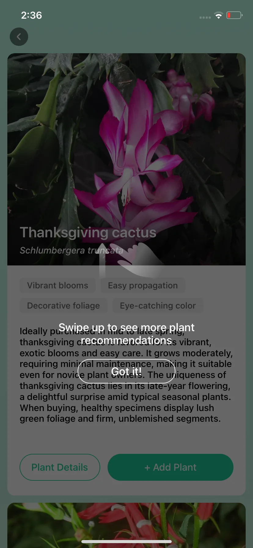Test Image 4