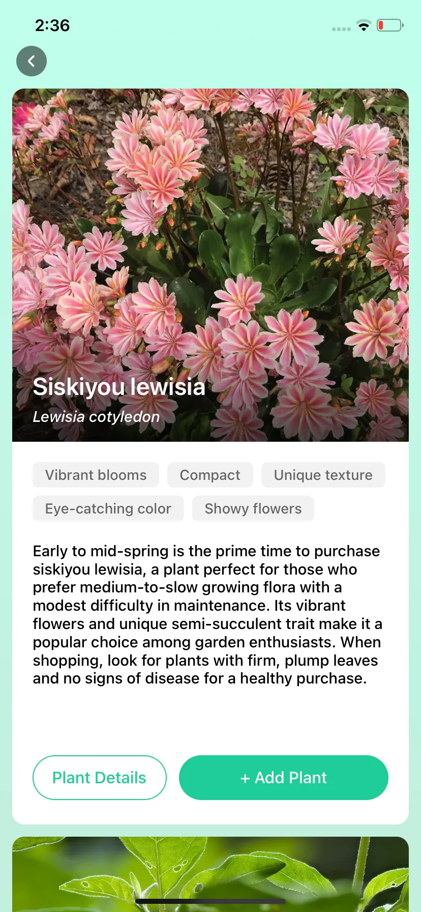 Test Image 7
