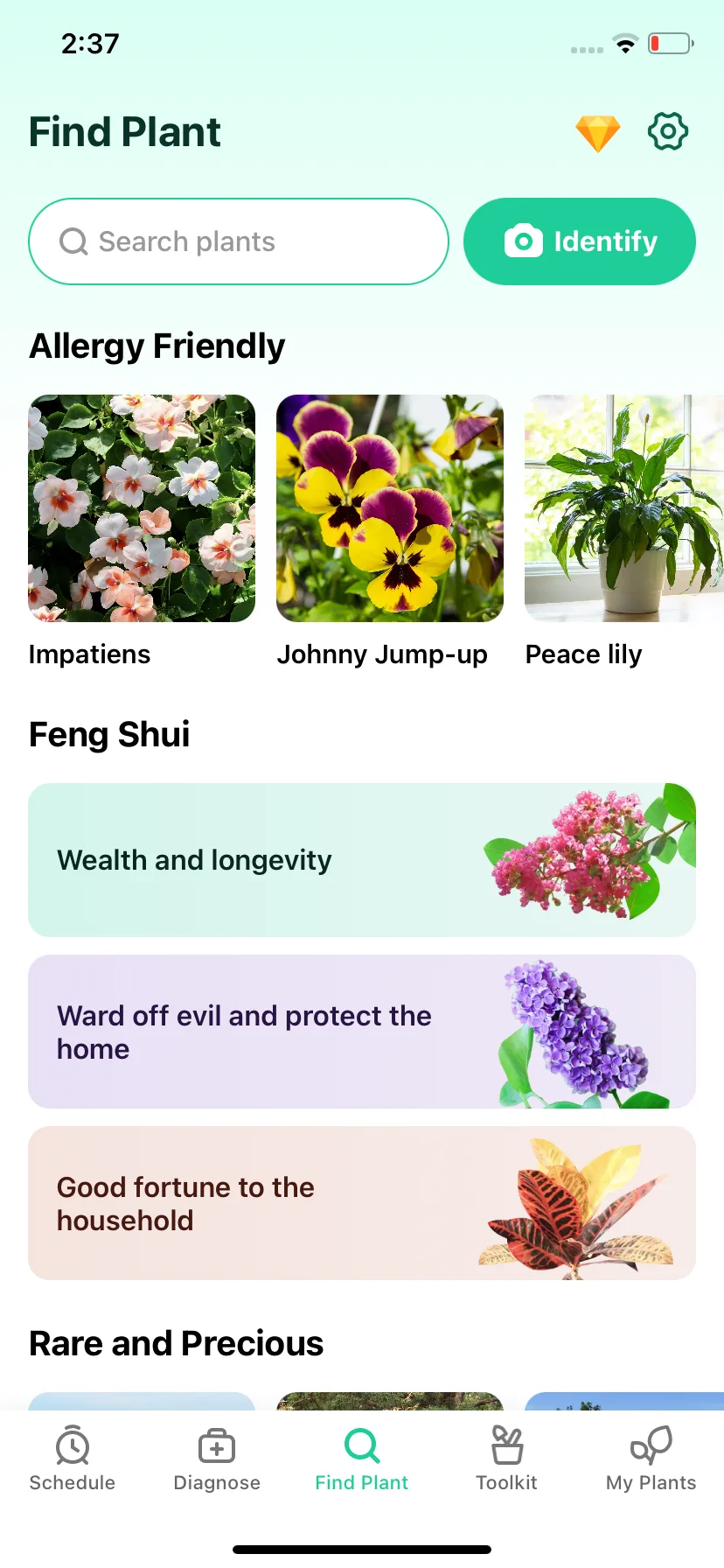 Test Image 11