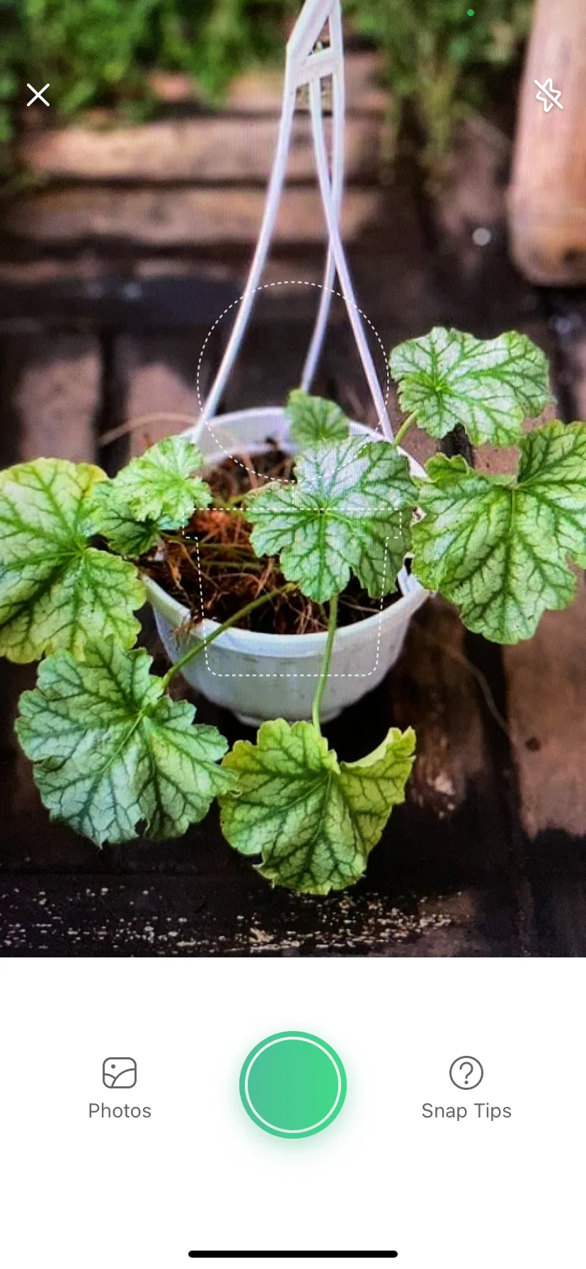 Test Image 8