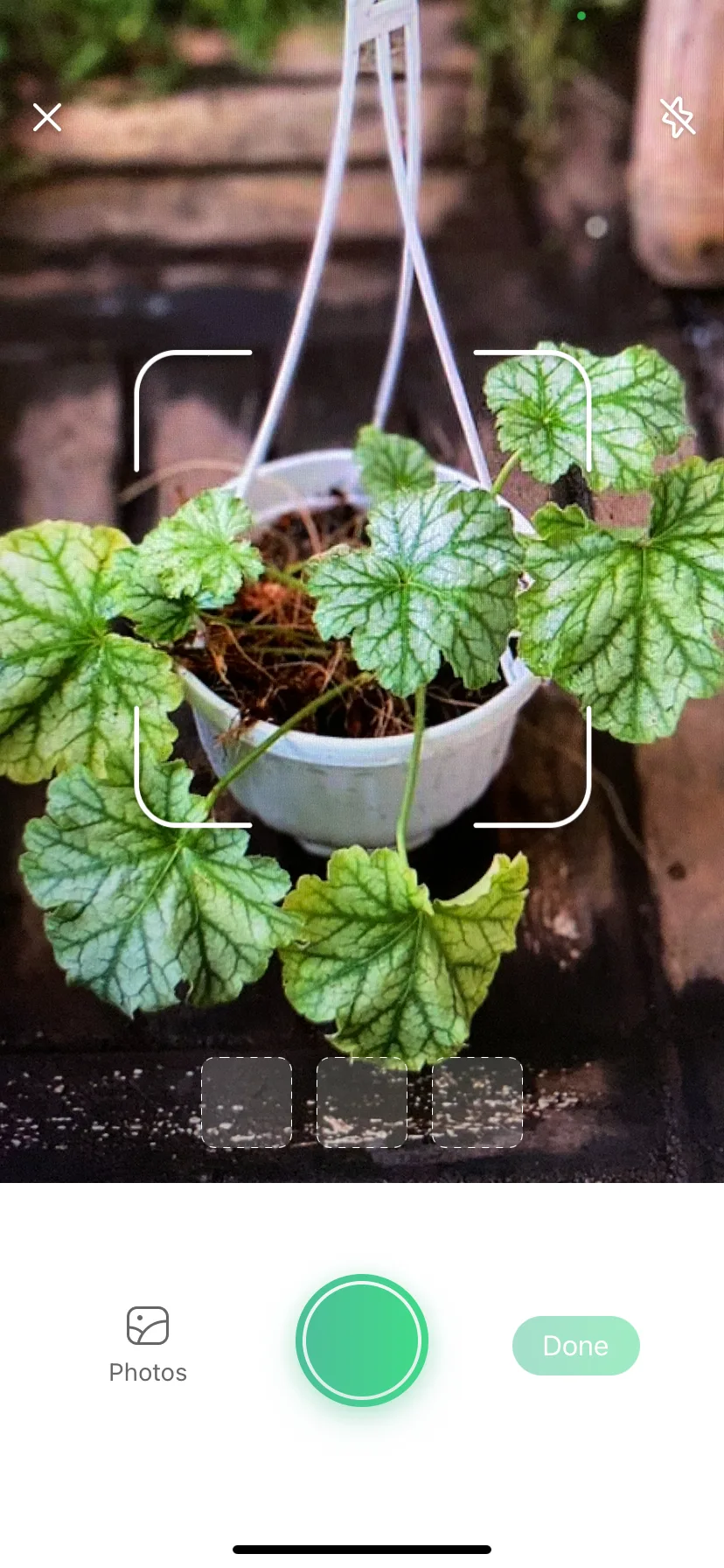 Test Image 10