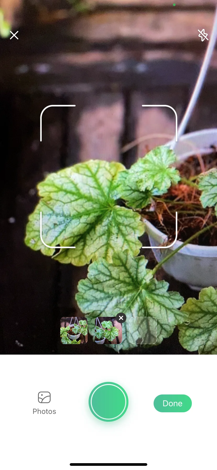 Test Image 11