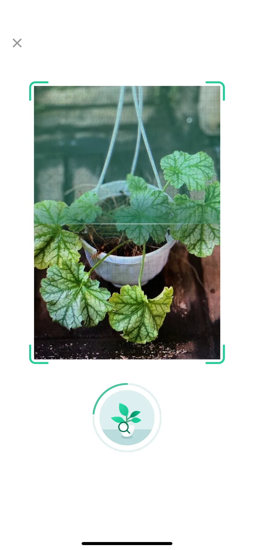 Test Image 12
