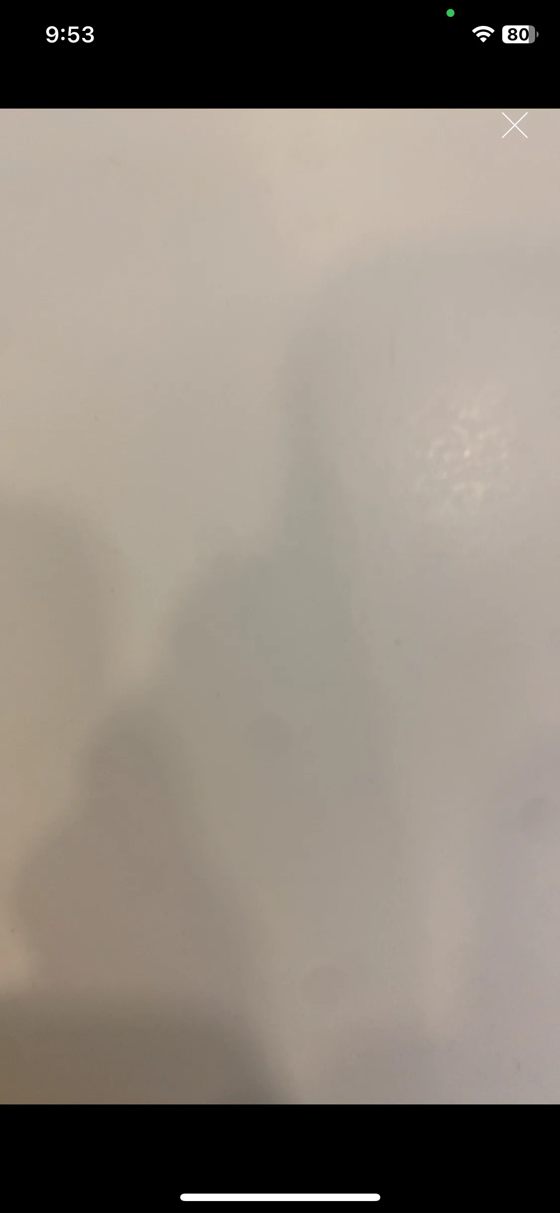 Test Image 9