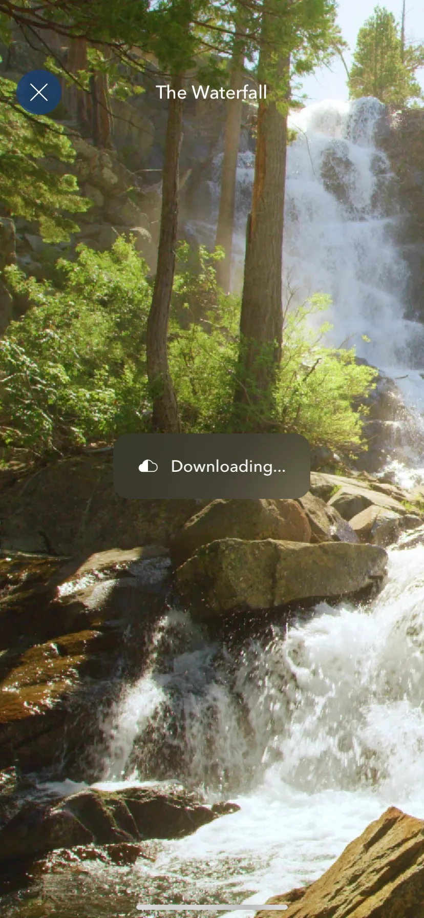 Test Image 3