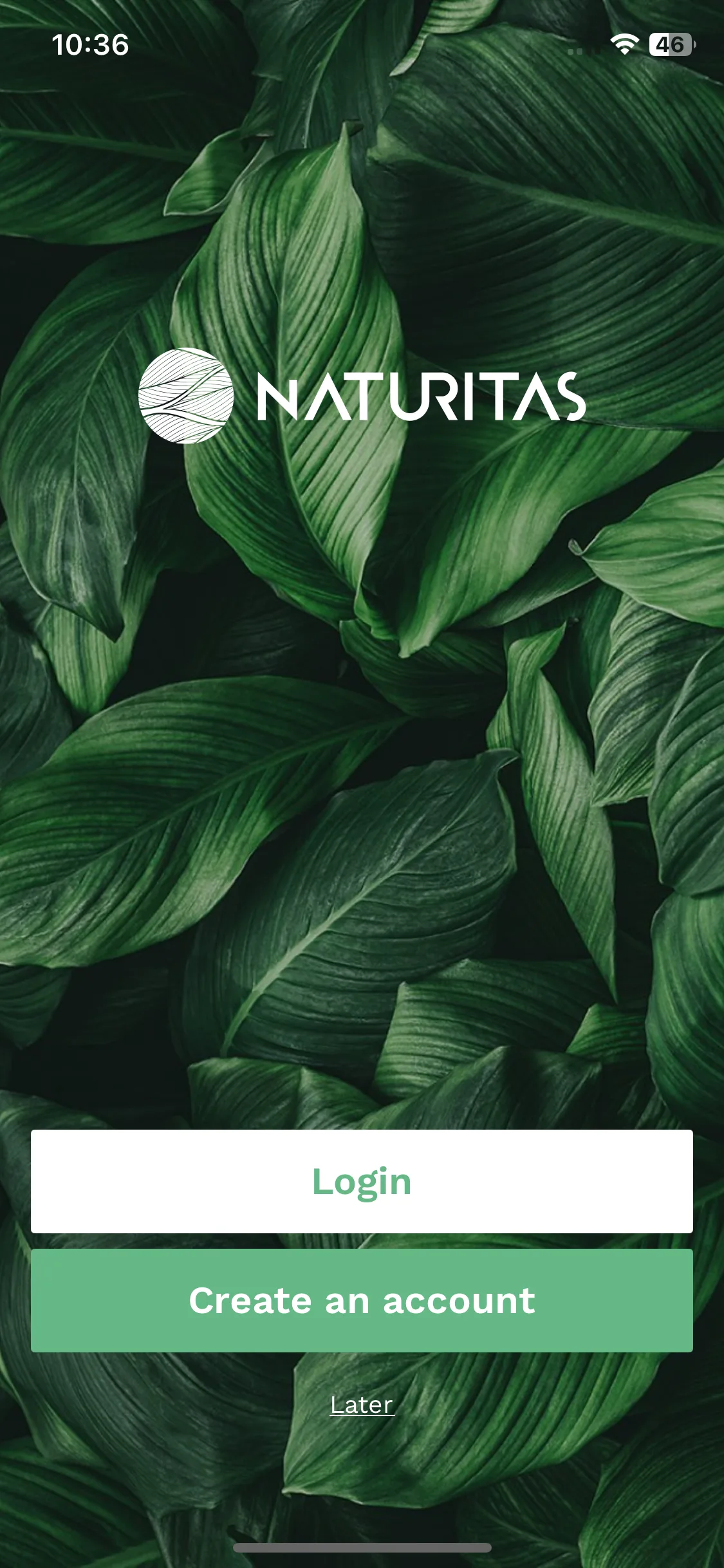 Test Image 3
