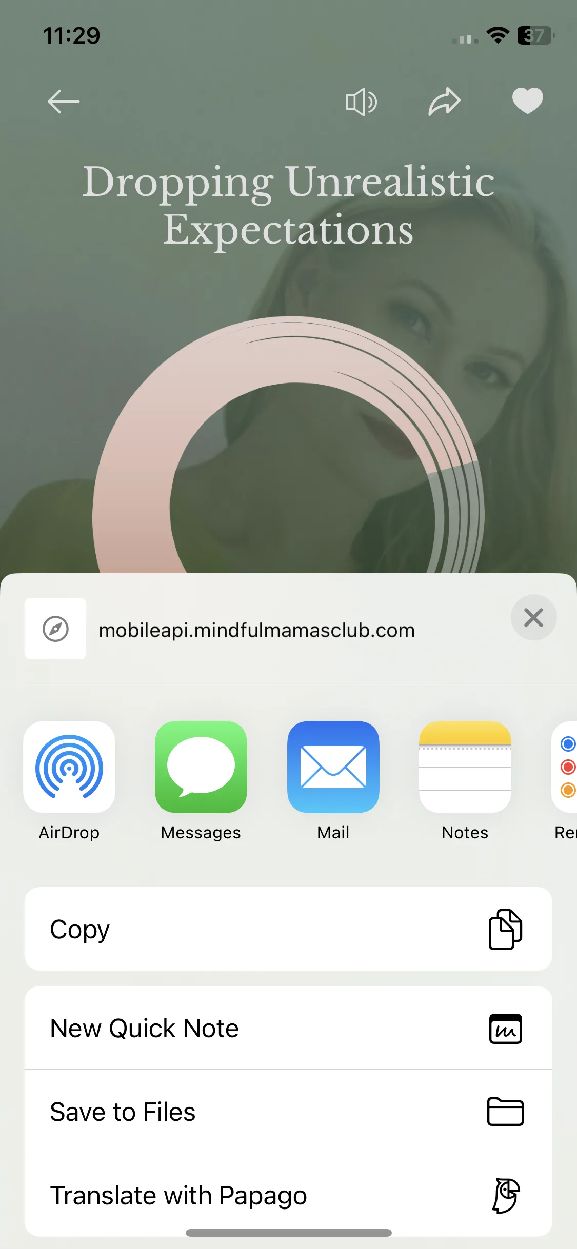 Test Image 5