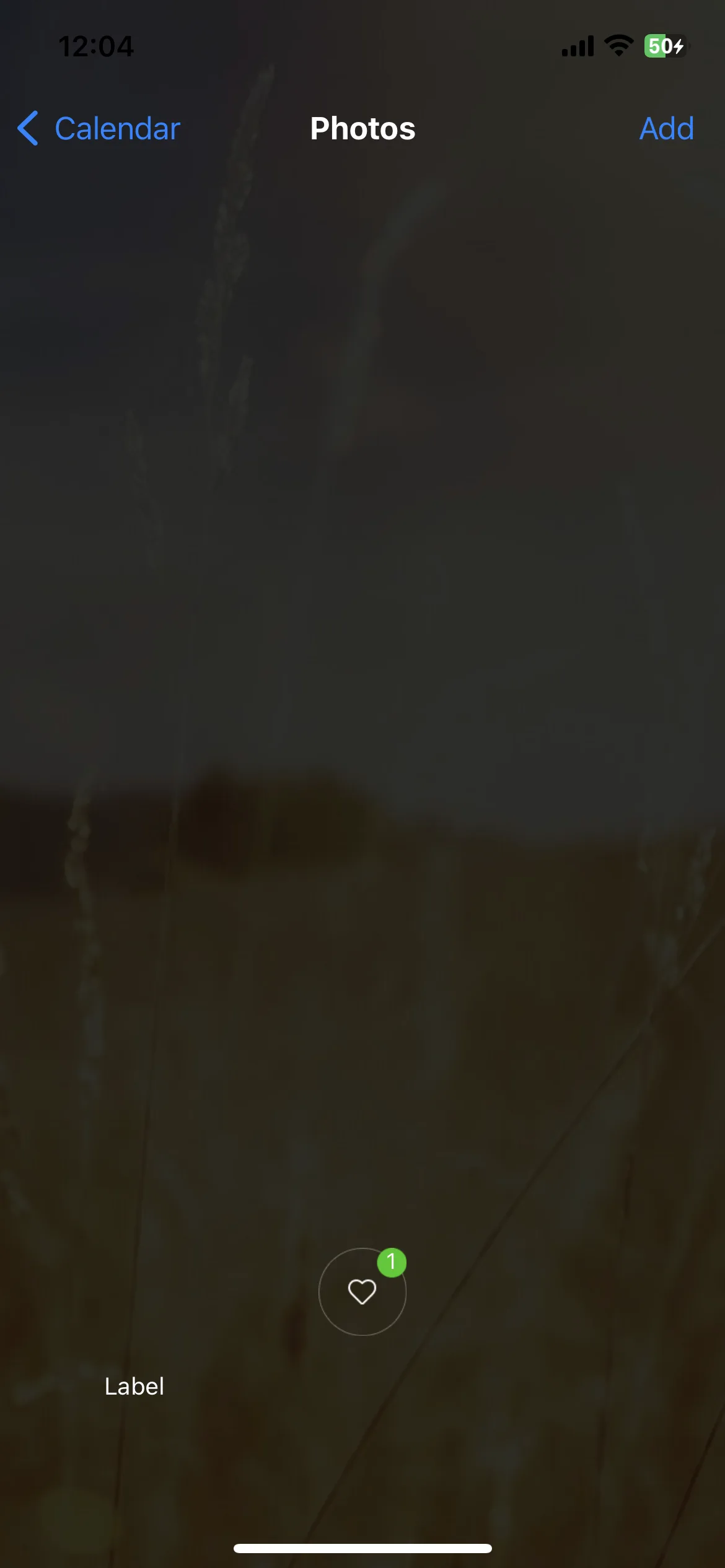 Test Image 6