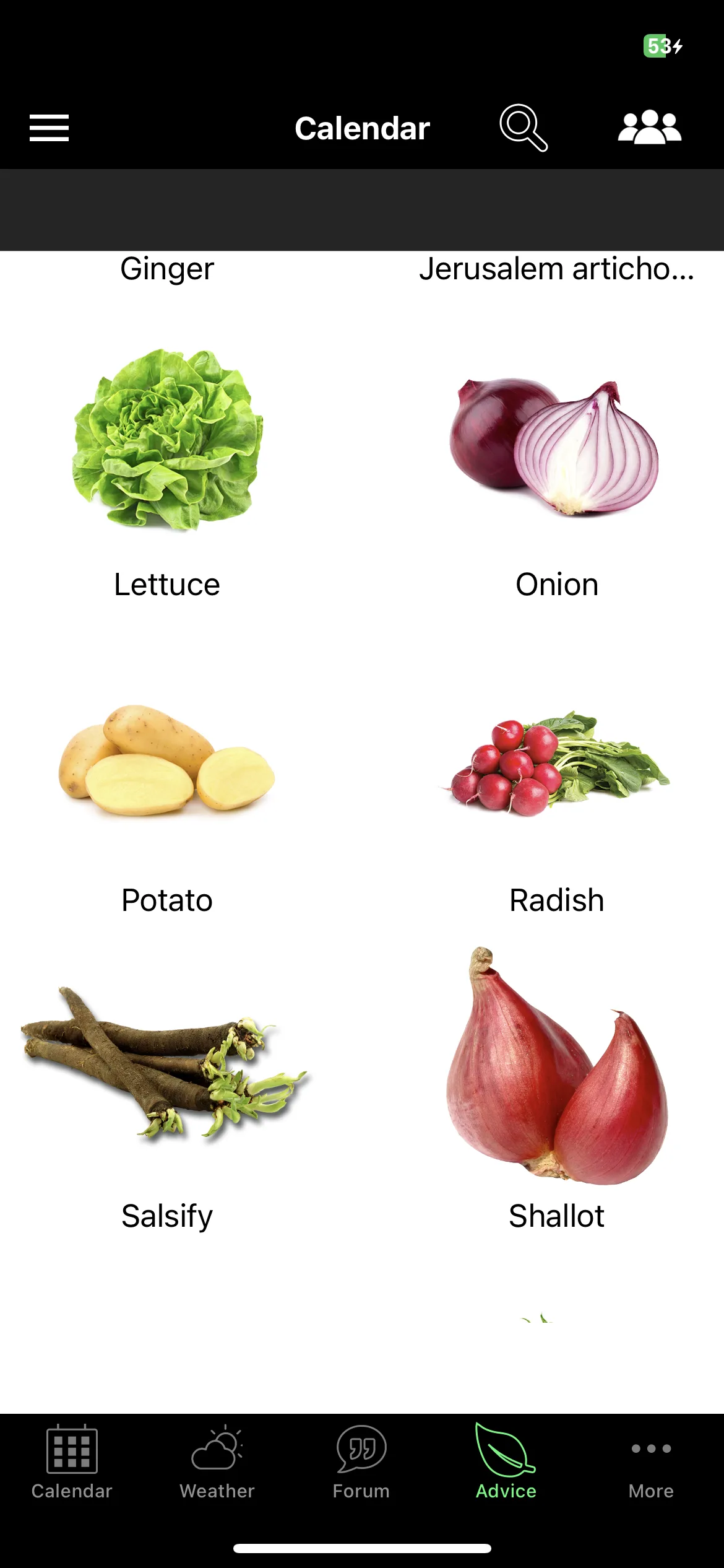 Test Image 2